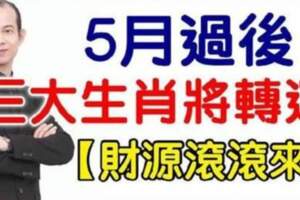 5月過後三大生肖將轉運，事業蒸蒸日上，財源滾滾來