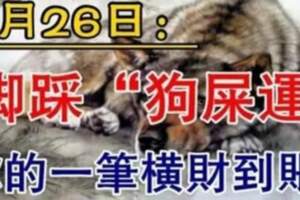 6月26日腳踩（狗屎運）一筆橫財到賬的生肖