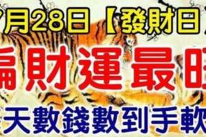 7月28日（發財日）偏財運最旺的生肖，每天數錢數到手軟