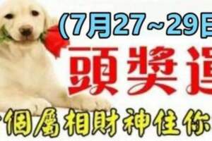 （7月27~29日）財運高漲，六個屬相財神住你家