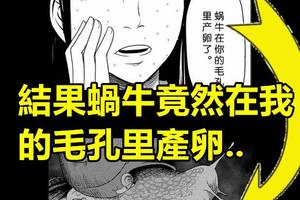 日漸崩壞的世界《蝸牛美容院》