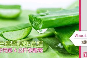 綠色蘆薈減肥食譜，讓你月瘦４公斤很輕鬆！