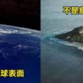 7張「98.7%的人都看不出真相」的終極錯覺照。#3以為是「密集的高樓大廈」，結果卻讓人傻眼