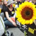 台灣教育家|洪蘭：台灣學生的自由與自私