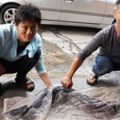 台中釣客捕獲「大尾鱸鰻」，拒絕25萬決定放生！