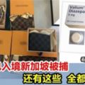 美女入境新加坡帶名牌包被捕，面臨20倍罰款和監禁！大家記住，這些統統不能帶