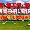 紐西蘭急招1萬移民，包工作、包住宿、收入高，但老移民卻叫大家不要去！！