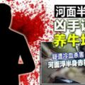 河面半裸男屍兇手證實是養牛場少東