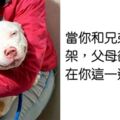 兄弟姐妹就是這種生物　24張「跟手足從小鬧到大」才懂的爆笑情境照