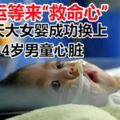 幸運等來「救命心」，66天大女嬰，成功換上4歲男童心髒！