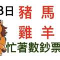 2月3日生肖運勢_豬、馬、兔大吉