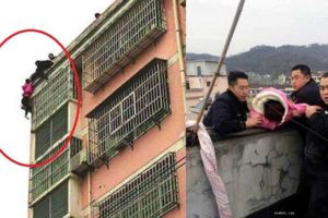老婆發狂吵架後下一秒選擇跳樓自殺，就在跳出去時「丈夫一伸手抓住馬尾」片刻超驚險！