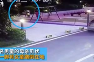 2孩童公園搶玩具家長穿高跟鞋狠踹2歲半女童