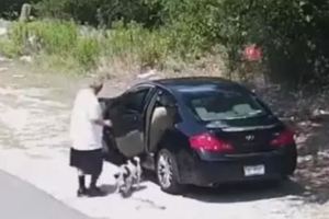前方車突然停駛，帶狗下車便揚長而去！狗狗頓時無依無靠令人鼻酸