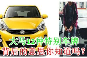 大馬12種特別車牌背後的意思你知道嗎？