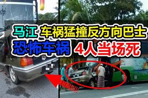 車猛撞反方向巴士恐怖車禍4人當場死
