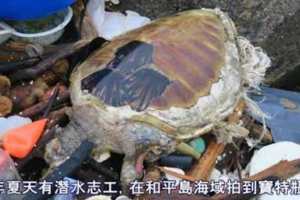 繼司馬庫斯垃圾瀑布後基隆和平島也有寶特瓶海