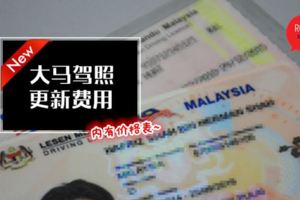 駕車人士必知！大馬最新更新駕照車License費用！記得去定期Update哦~（內有價格表）
