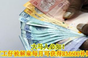 大馬人必知！打工仔被解僱每月可獲得RM600補貼！