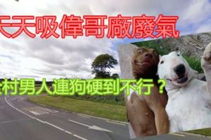 天天吸偉哥廠廢氣　全村男人連狗硬到不行？