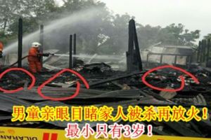 男童親眼目睹家人被殺再放火！最小只有3歲！（內附視頻）