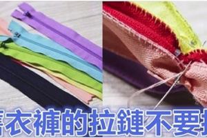 舊衣褲的「拉鏈」不要扔！她拆下來改成「獨一無二的...」鄰居們個個都跑來模仿！