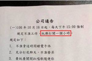 你沒看錯！超好的公司強制規定「員工每天都要玩樂一小時」，網友已經跪求要應徵當員工！