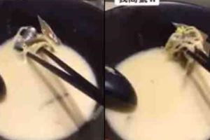 太誇張了!!西門町吃拉麵驚見「長滿汙垢水龍頭」藏碗底網有說：超噁心(內含影片)