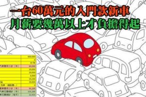一台60萬元的入門款新車，月薪要●萬以上才負擔得起，月薪要●萬以上才負擔得起