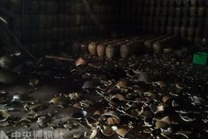 花蓮強震台酒廠陳紹酒甕碎滿地估損2億