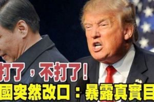 不打了，不打了！美國突然改口：暴露真實目的