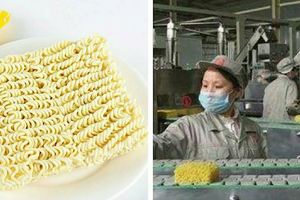 為什麼速食麵都是彎曲的？讓速食麵廠的工人，告訴你這是為啥？