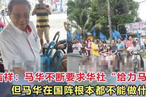 林吉祥：馬華不斷要求華社「給力馬華」，但馬華在國陣根本都不能做什麼！