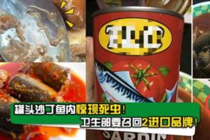 罐頭沙丁魚內驚現死蟲！衛生部要召回2進口品牌！