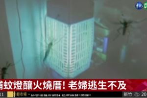 24小時開捕蚊燈!短路起火燒死婦