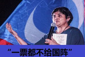 安美嘉籲印裔與原住民，「一票都不給國陣」