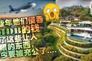 這些年這些「人」侵吞1MDB的錢買了這些讓人傻眼的東西，如今要被充公了。。。