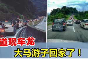 【大道今早起現車龍】大馬遊子們開始回鄉投票了