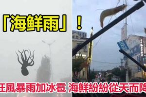 狂風暴雨加冰雹海鮮紛紛從天而降！青島市離奇的下起「海鮮雨」！