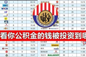 公積金局2018首季最新持股名單