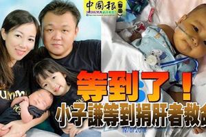 等到了小子謙等到捐肝者救命了