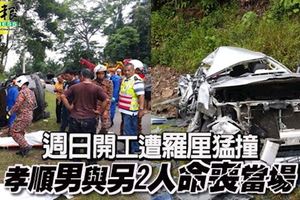 週日開工遭羅釐猛撞-孝順男與另2人命喪當場