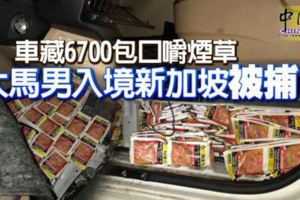 車藏6700包口嚼煙草大馬男入境新加坡被捕