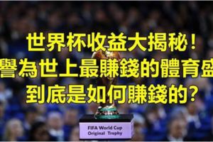 世界盃收益大揭秘！18年世界盃「還未開踢就已經收了14.5億贊助費！」