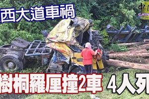 東西大道車禍樹桐羅釐撞2車4人死