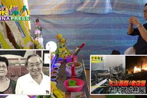長子：上週才陪同提親「爸媽看不到幼弟結婚
