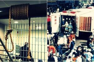 聯合國呼籲日本「立即停止死刑」！秒被曾經的廢死律師打臉：自從我妻子被殺...