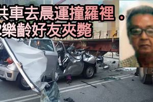 共車去晨運撞羅裡．2樂齡好友夾斃
