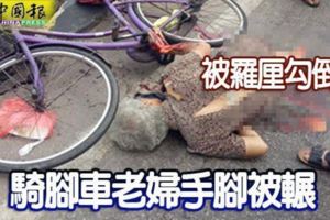 被羅釐勾倒騎腳車老婦手腳被輾