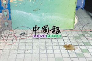 【今日頭條】6食店3有老鼠屎市廳檳榔路取締下令關